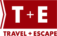 t + e logo